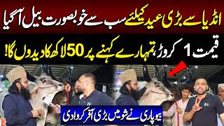 1 Crore Wala Bull 50 Lakh Mein | India Ke Bull Par Offer Lag Gai | Lahore Puchta Hai | Lahore Rang