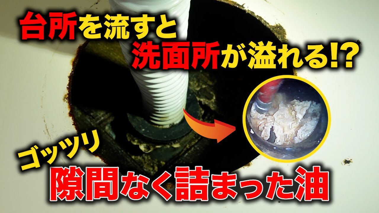 床下に漏水の痕跡！台所を流すと洗面所から溢れる？さぁてどこから作業しようか【花のお掃除 #357】