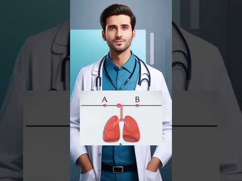 A_____________b______ ️‍🩹__ - YouTube