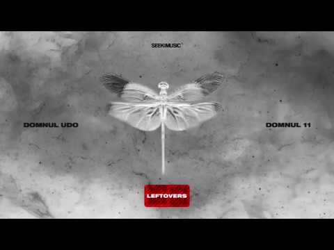 Domnul Udo -