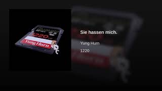 Watch Yung Hurn Sie Hassen Mich video