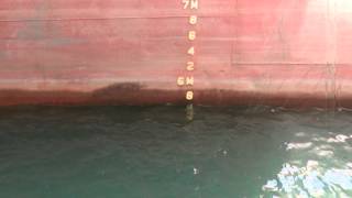 Check draft-moderate sea-20130813-4