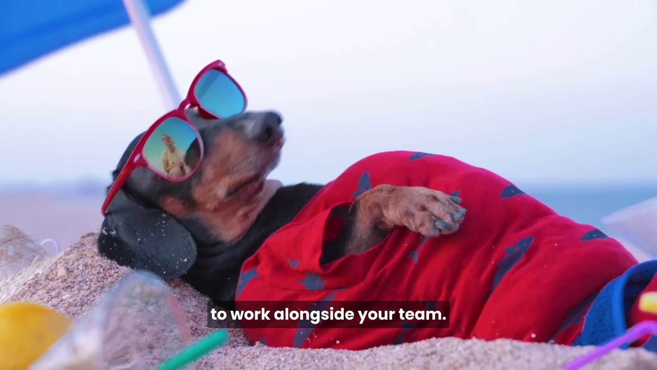 Managed247 Co-Managed IT Service Partner for 24x7 IT Support