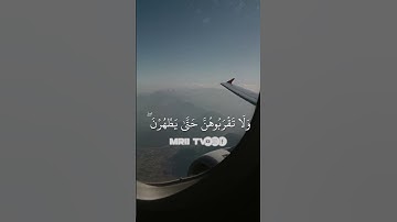 القرآن الكريم سورة البقرة الاية 222