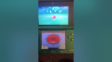 SHINY ZIGZAGOON AFTER 566 DEXNAV ENCOUNTERS!