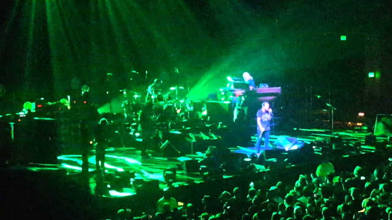 crown of thorns sea star Pearl Jam 