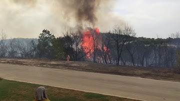 Cedar tree explodes in Retreat fire