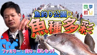 海釣り公園は魚種多彩！ファミリーで釣りを楽しもう！（四季の釣り/2024年4月26日）