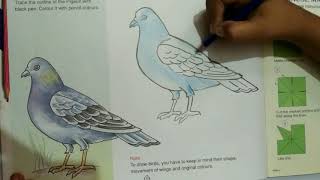My Drawing Homework! Easy Drawing of Pigeon! Easy to Make a Pigeon! Taking Online Class!
