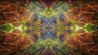 Video thumbnail of "Shaman's Dream & Liquid Bloom - Rise Up Remix (Feat Paul Stamets & Bloomurian)"