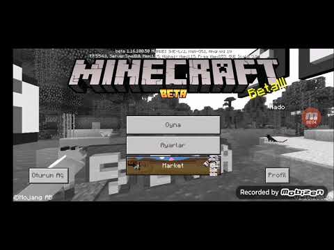 Video: Minecraft Ekran Görüntülerini Görüntülemenin 3 Yolu