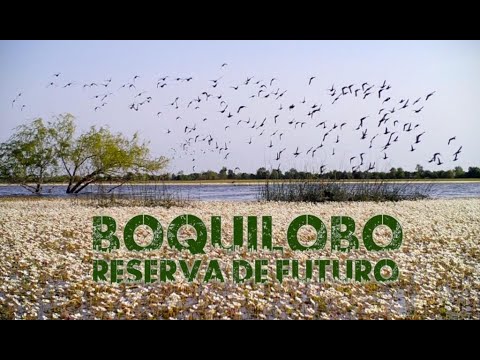 Curta metragem documental «Boquilobo. Reserva de Futuro» - PT
