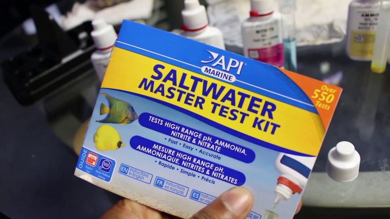 How To Test Your Saltwater Aquarium With Api Saltwater Master Test Kit