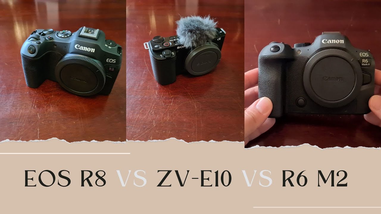 Canon EOS R8 Vs Canon EOS R6 Mark 2 Vs Sony ZV E10 | Camera Comparison ...