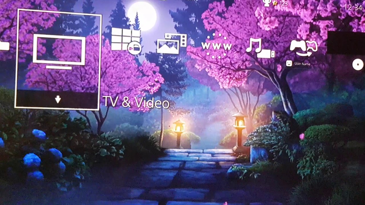 Night Zen Garden HiQ Ace dynamic Theme Ps4 deluxe Design