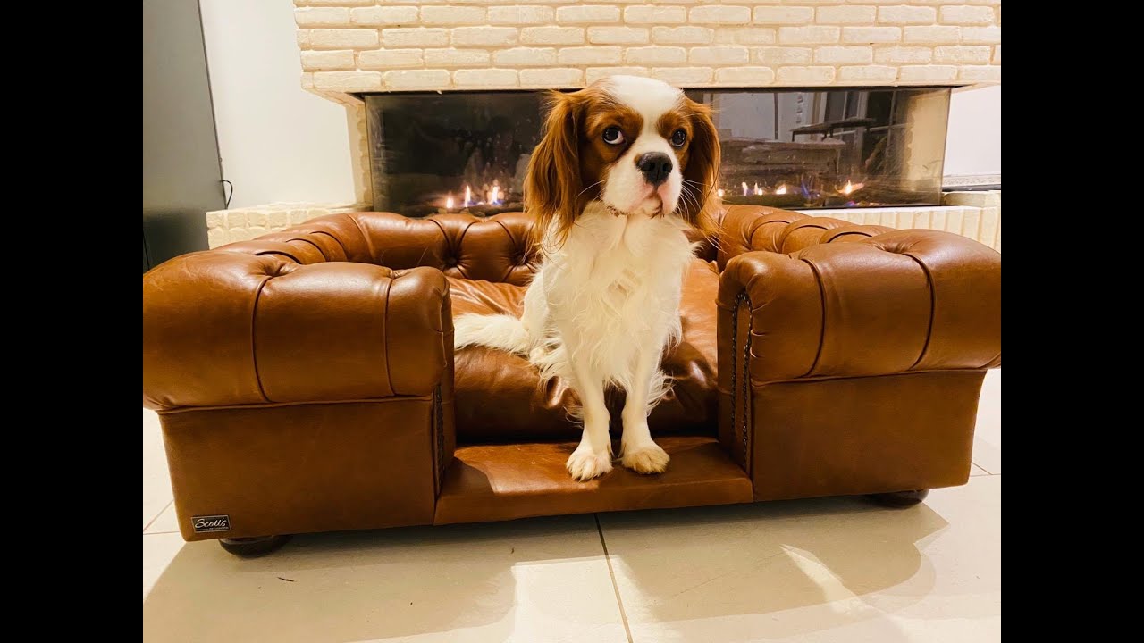 Scott's of London Luxury dog beds