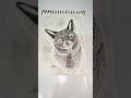 Beautiful cat drawing with pen #handart #art #drawing #ms # beautiful cat #music #artshorts #cat
