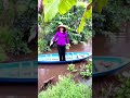 Đi xuồng nhỏ #tungnguyen #nhactrutinh #bolerohay #mientay #nhacbolero #nhachaymoingay #bolero