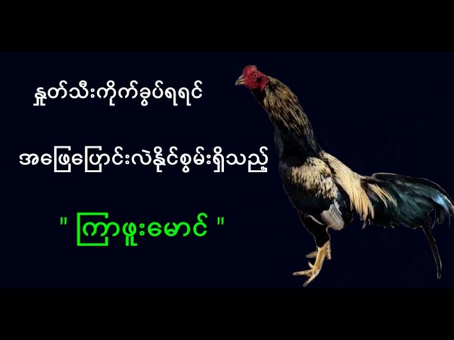 ကြာဖူး မောင်  class=