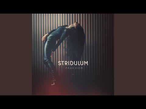 Stridulum — Ephemeral
