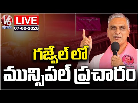 LIVE : Harish Rao Municipal Election Campaign In Gajwel | V6 News - V6NEWSTELUGU