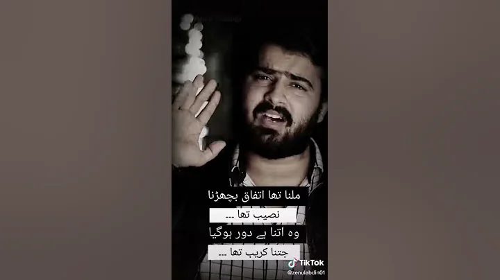 ali mahmood tiktok