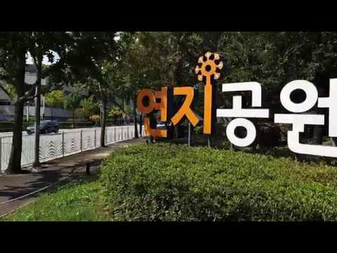 살기넘치는 일상 - 기타대장의 하루 스무스4 짐벌