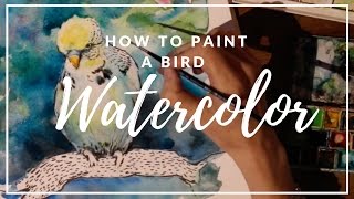 How to paint a Parakeet  - watercolor and ink- speed paint.