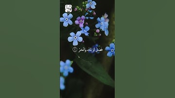 سورة الكوثر تلاوة كاملة للشيخ فارس عباد #اكسبلور