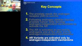 Donald Tindall - The Molecular Mechanisms of Castration Resistant Prostate Cancer