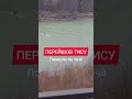 Перехід кордону | Переход границы. Тиса.