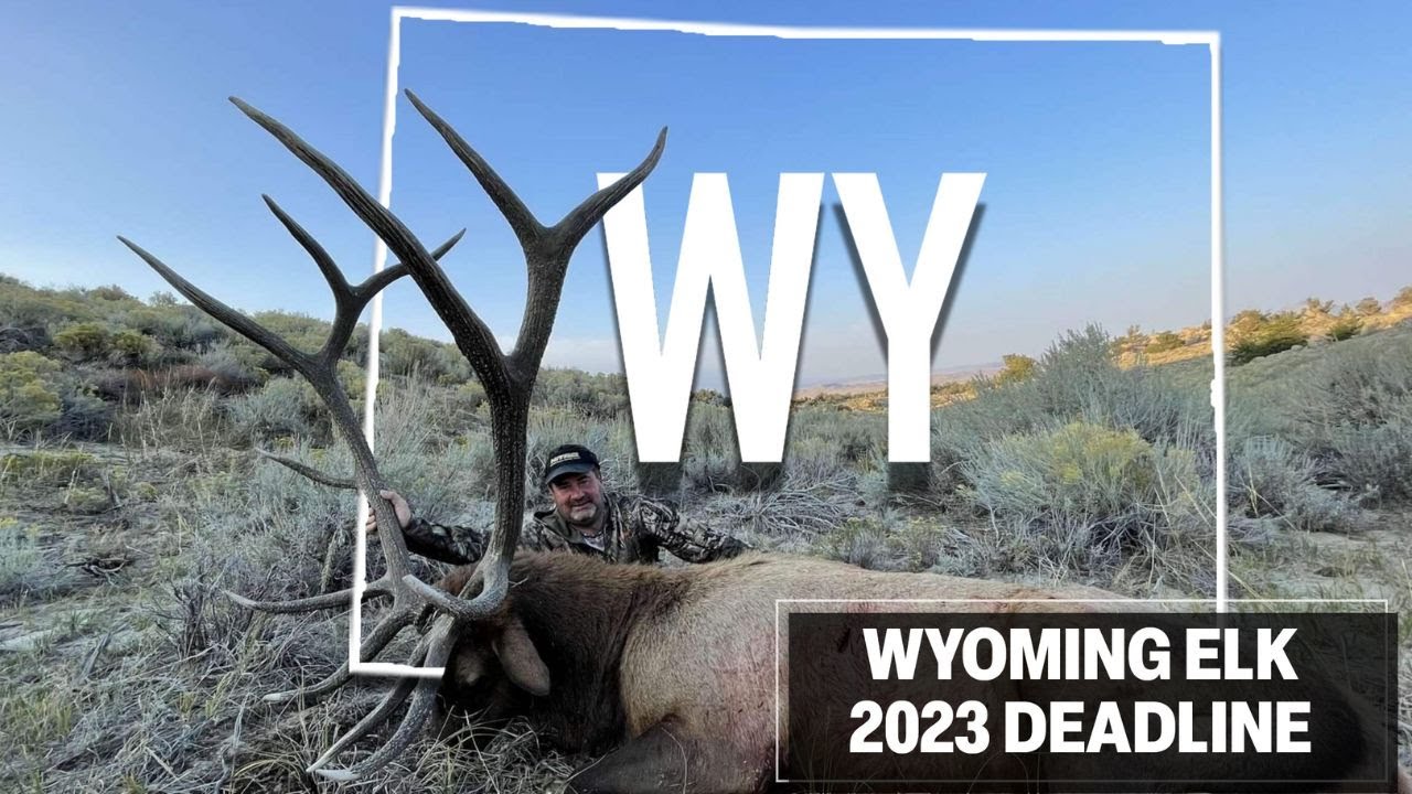 How to Hunt Elk in Wyoming in 2023 Worldwide Trophy Adventures YouTube