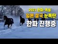 한파는 아직 끝나지 않았다 - 일본 설국 눈폭탄