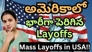 USA Tech crisis mass layoffs explained||#namasteyamericateluguvlogs 