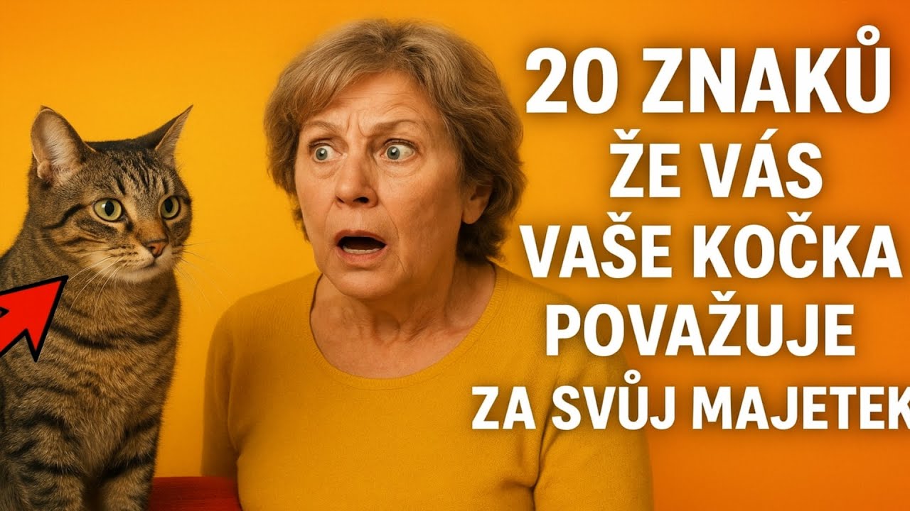 **20 ZNAKŮ, ŽE VÁS VAŠE KOČKA POVAŽUJE ZA SVŮJ MAJETEK 🙀**