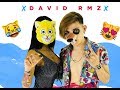 David rmz  miaw oficial