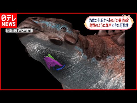 恐竜の骨のような形の流木　基本的には取り来てくださる方 Amazon.co.jp: ダーク恐竜の化石スケルトンおもちゃで7個の輝き