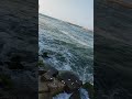 بالايام محمد سعيد حالات واتس     