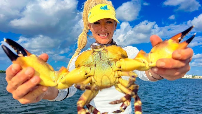 MASSIVE CRABS in our Pots! 😀 Florida STONE CRABS How To First