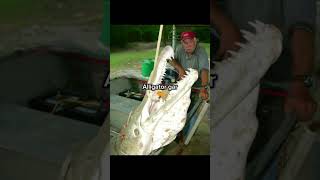 Vissen Die Ik Moet Vangen Voordat Ik Sterf, Deel 2