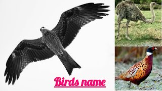 Birds name / 10 birds name/birds name list/पक्षियों के नाम हिन्दी में