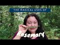 The Magickal Uses of Rosemary | Pan Society