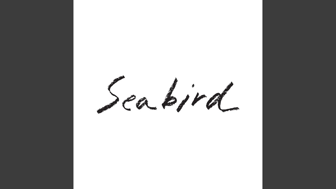 Watch Seabird on YouTube Watch Seabird on YouTube