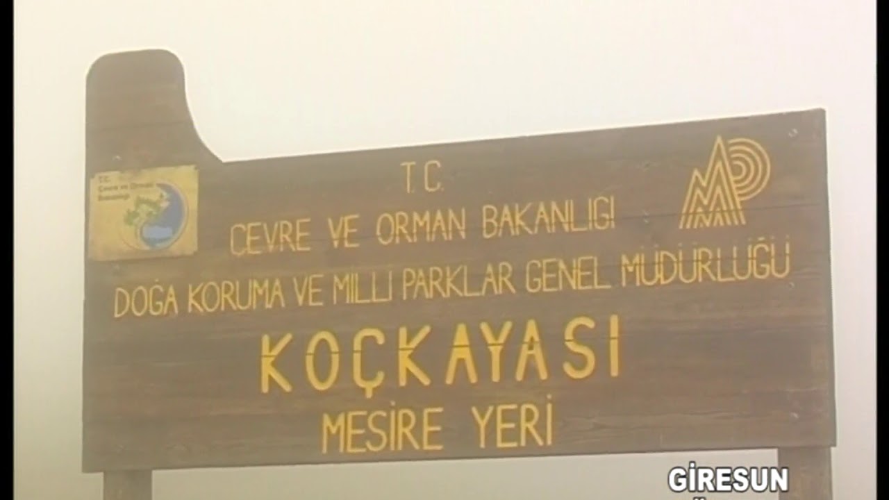 KaradenizTiwi Kümbet Yaylası - Giresun