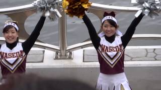 20130421 早慶レガッタ　チアガール応援　早稲田