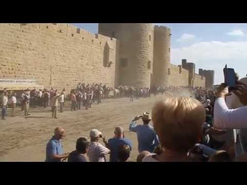 aiguesmortes le revivre