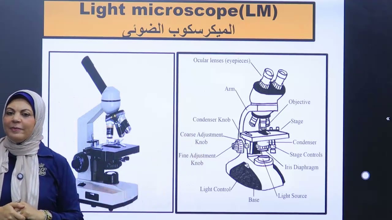 الحصة الثانية هستولوجى 101 د/ داليا