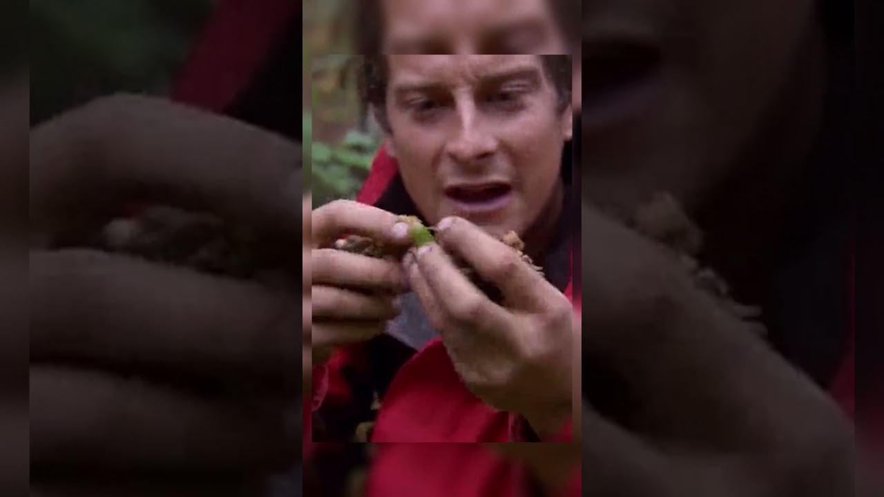 СЪЕЛ МЕДВЕЖЬЕ Г**НО 🤮