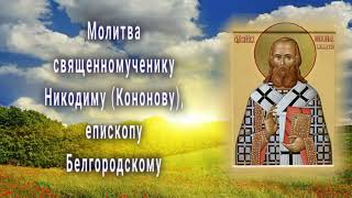 Молитва священномученику Никодиму Кононову, епископу Белгородскому - 4 ноября - Обре́тение мощей