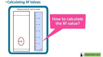 Chemical Analysis – 1.28 Required Practical – Thin Layer Chromatography: Find Rf Values